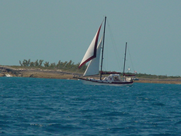 BahamaMama_Sailboat